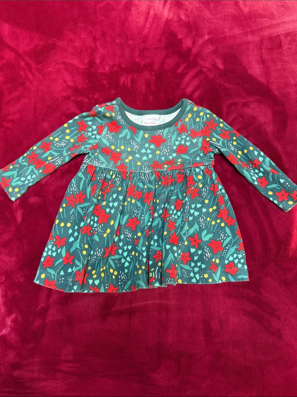 Hanna Andersson Teal Dress with Red Floral Print